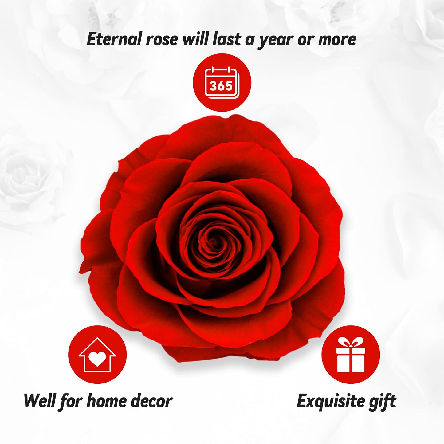 Preserved Real Rose, Gift Box with I Love You Necklace, Handmade Eternal Flower Gifts for Her Woman Wife Girlfriend on Birthday, Anniversary, Valentine's Day, Mother's Day, Christmas Red