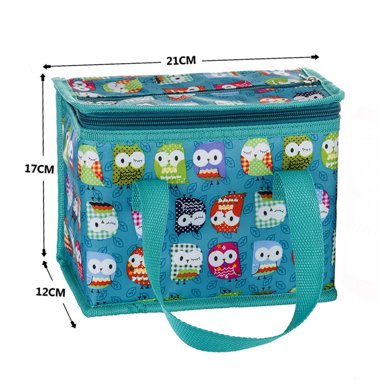 TEAMOOK Folding Lunch Bag Insulated Lunch Box Cool Bag Green Owl 6 cans Big Eyes Owl