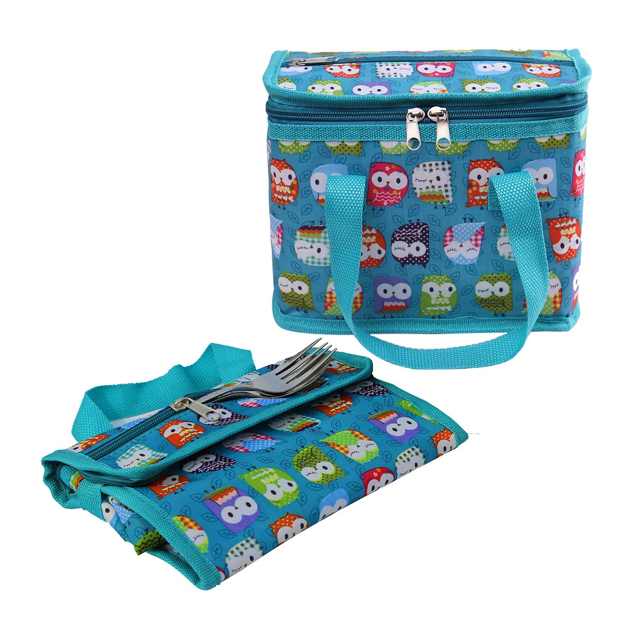 TEAMOOK Folding Lunch Bag Insulated Lunch Box Cool Bag Green Owl 6 cans Big Eyes Owl