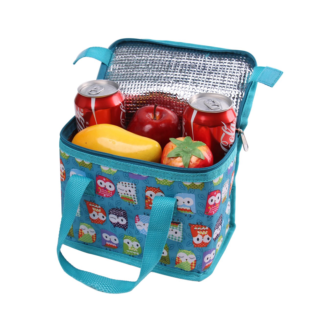 TEAMOOK Folding Lunch Bag Insulated Lunch Box Cool Bag Green Owl 6 cans Big Eyes Owl