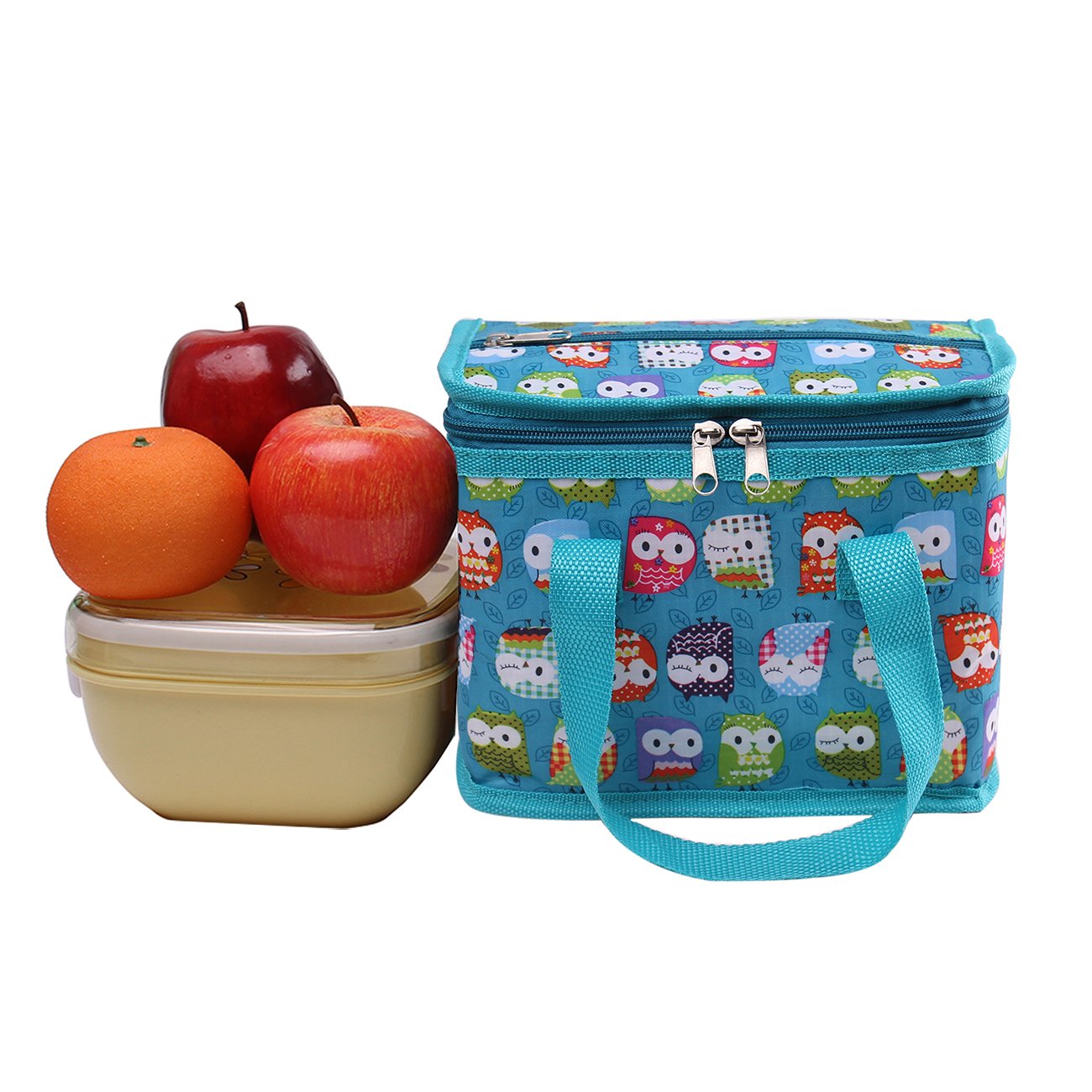 TEAMOOK Folding Lunch Bag Insulated Lunch Box Cool Bag Green Owl 6 cans Big Eyes Owl