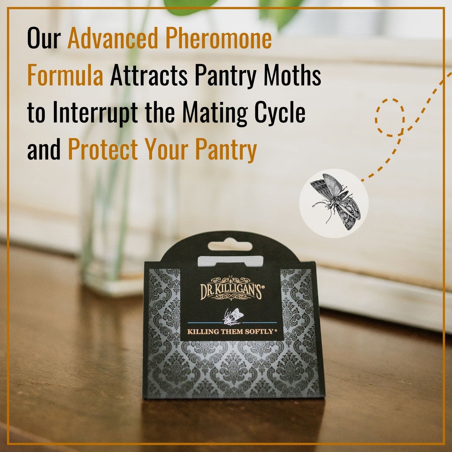 Dr. Killigan's Premium Pantry Food Moth Traps | Moth Killer | Safe, Non-Toxic Moth Catcher with No Insecticides | How to Get Rid of Moths in Your Kitchen | Organic (6, Black) 6