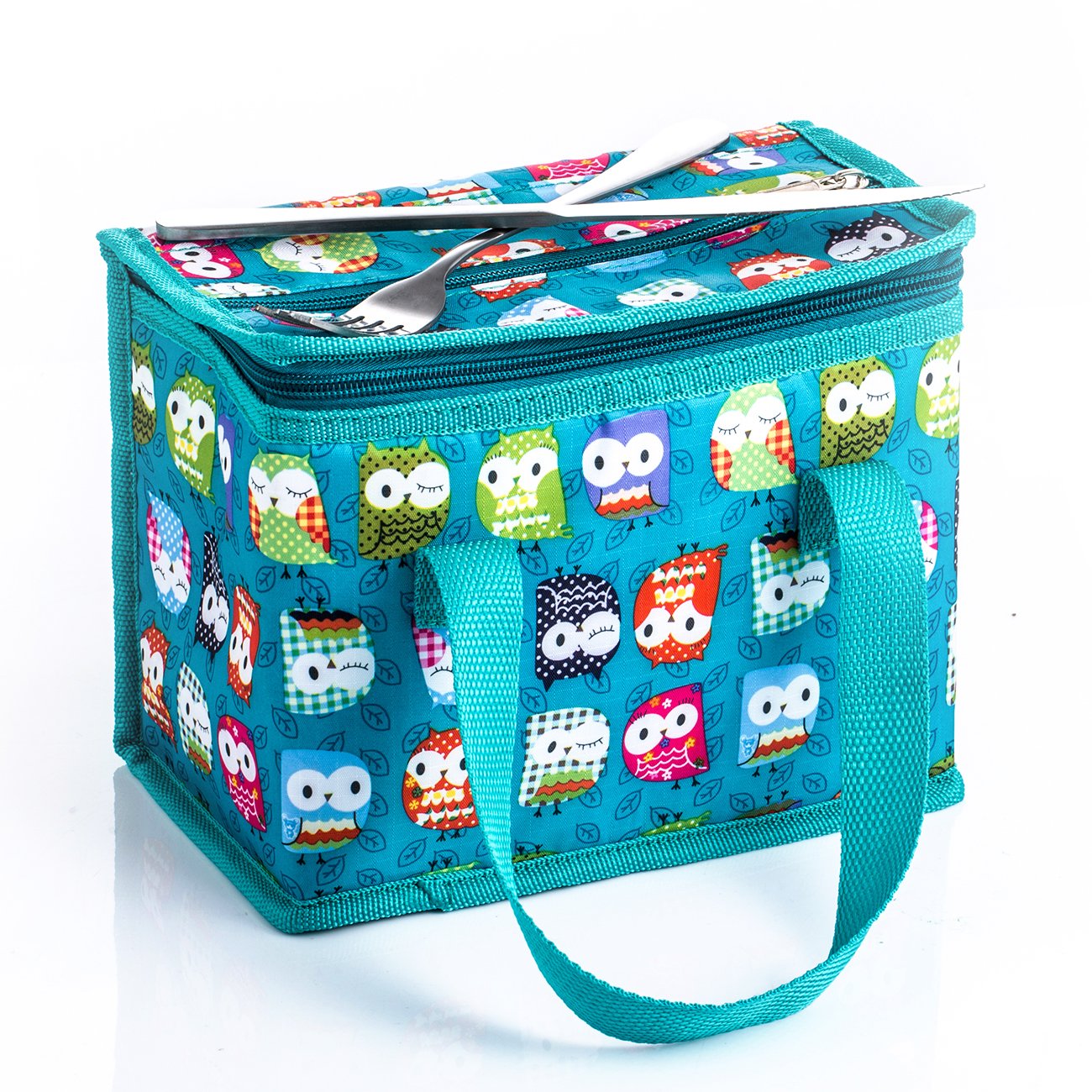 TEAMOOK Folding Lunch Bag Insulated Lunch Box Cool Bag Green Owl 6 cans Big Eyes Owl