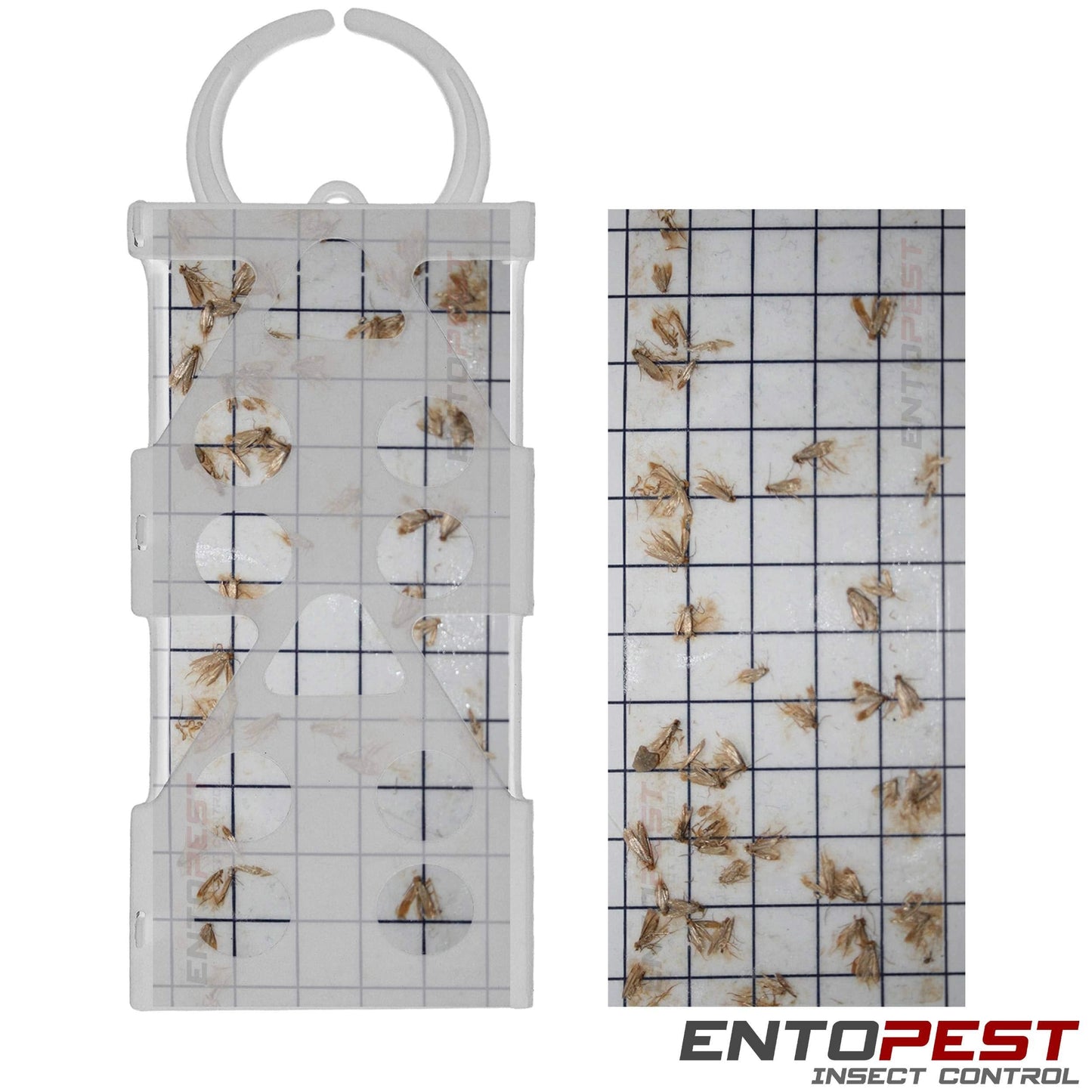 Entopest - Premium Moth Killer | 10 Refill Pads & 5 Reusable Hangers | Moth Repellent For Wardrobe | Moth Strips | Moth Sticky Pads | Pheromone Moth traps | Clothes Moth Treatment