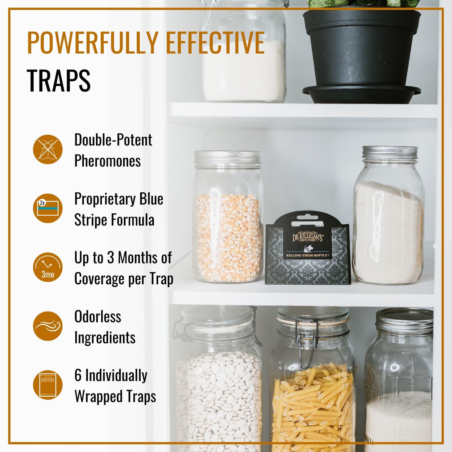 Dr. Killigan's Premium Pantry Food Moth Traps | Moth Killer | Safe, Non-Toxic Moth Catcher with No Insecticides | How to Get Rid of Moths in Your Kitchen | Organic (6, Black) 6