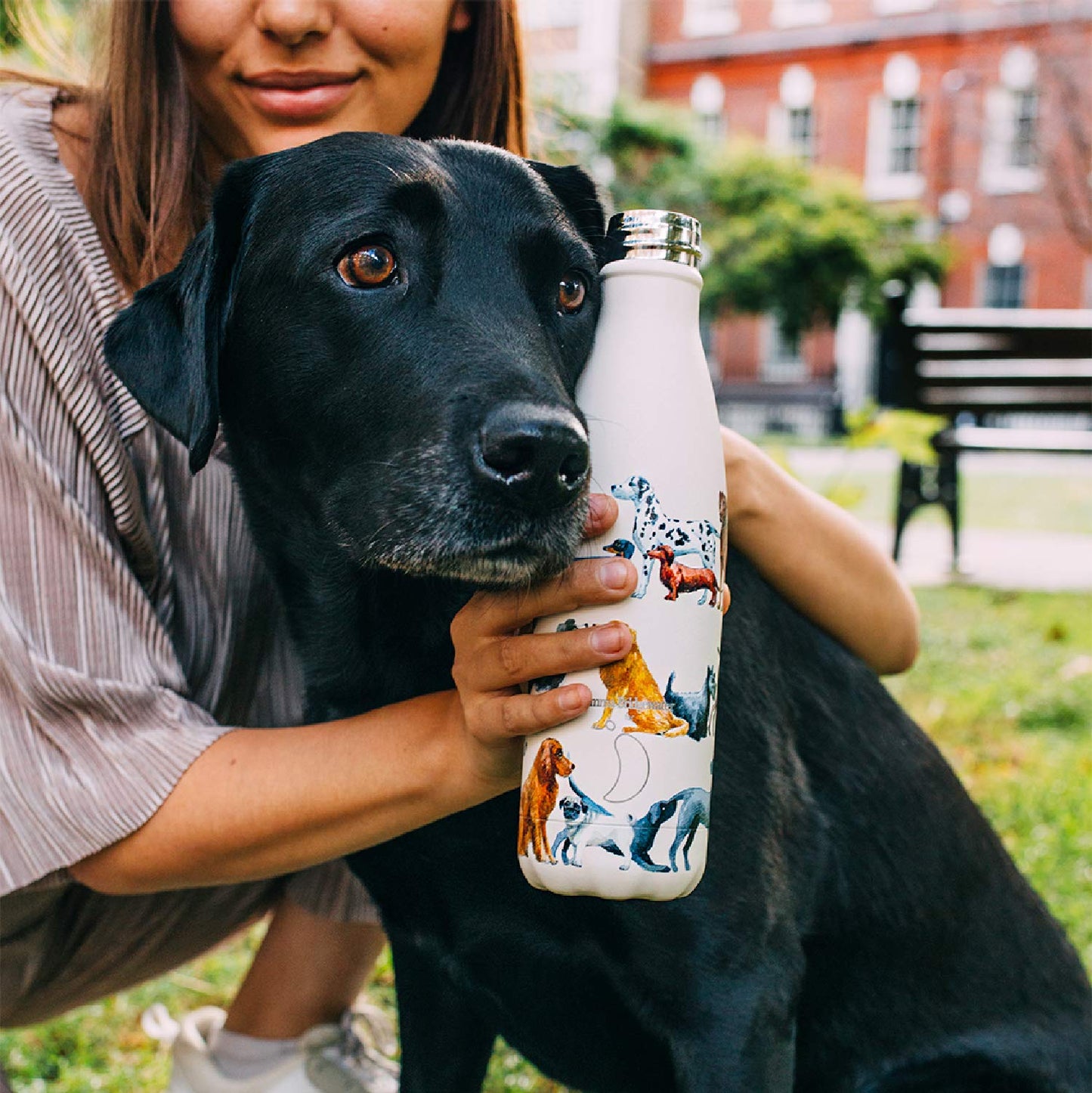 Chilly's Water Bottle - Stainless Steel and Reusable - Leak Proof, Sweat Free - Wildflower Meadows, 500ml