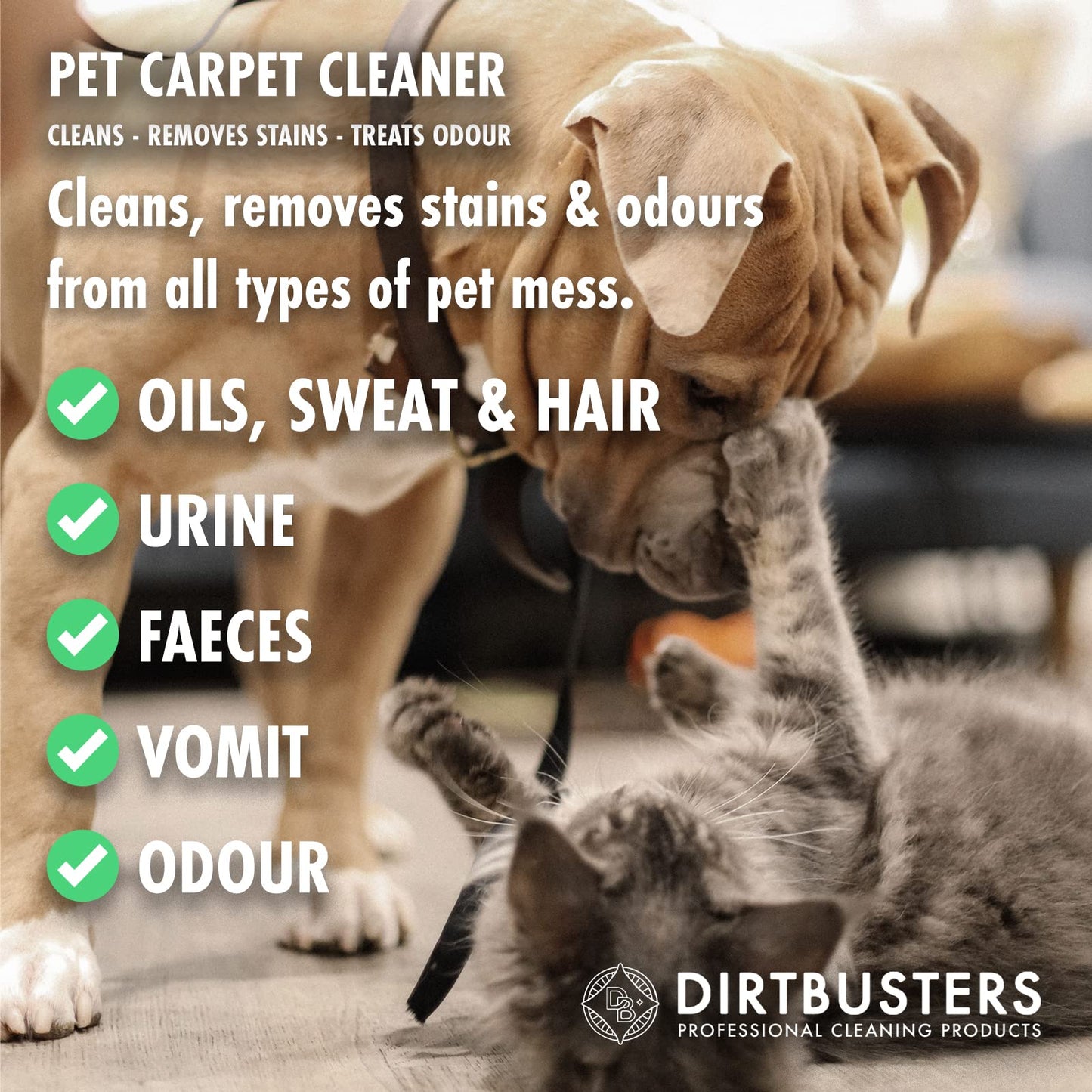 Dirtbusters Pet Carpet Cleaner Shampoo, Cleaning Solution For Odour, Urine & Stains, Geranium & Chamomile (5L) 1