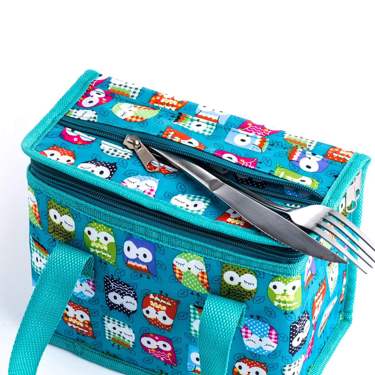 TEAMOOK Folding Lunch Bag Insulated Lunch Box Cool Bag Green Owl 6 cans Big Eyes Owl